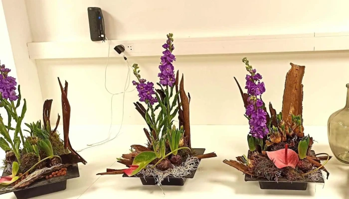Avenue Des Fleurs -    Fleuriste Bressuire Comment Arriver - Bressuire
