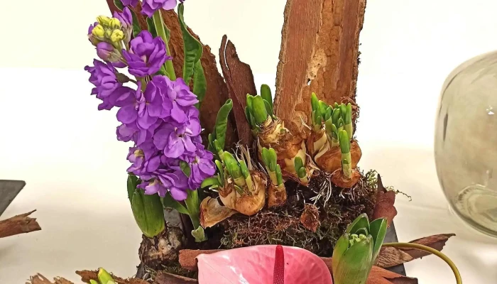 Avenue Des Fleurs -    Fleuriste Bressuire Numero - Bressuire