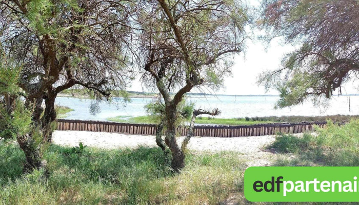 Bassin De Baignade Audenge -  Les Plus Recentes - Audenge