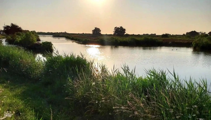 Bassin De Baignade Audenge -  Parc Naturel Regional Des Landes De Gascogne - Audenge