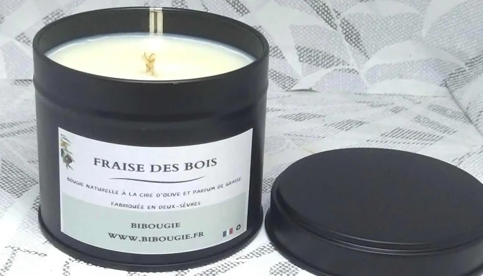Bibougie - 79460 Magné