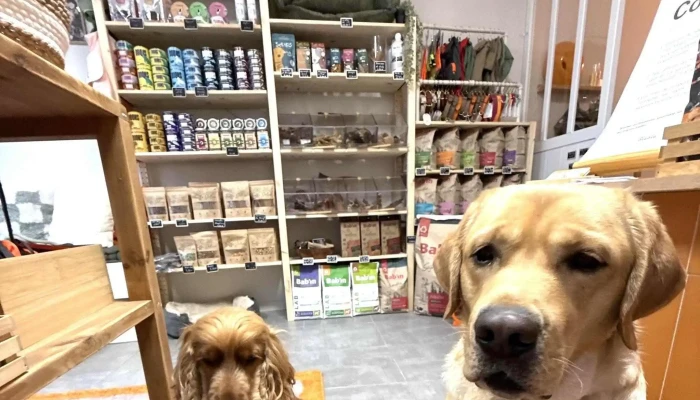 Binoome -    Magasin Pour Chiens A Arcachon Animalerie - Arcachon