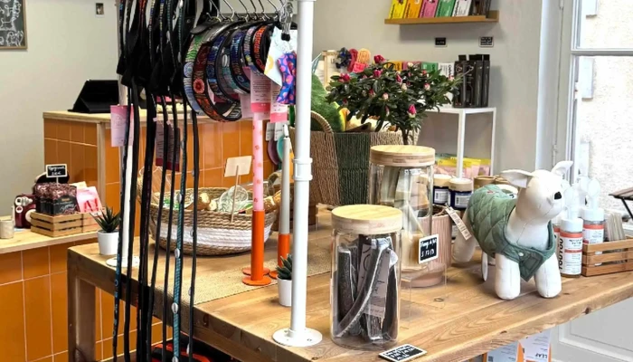 Binoome -    Magasin Pour Chiens A Arcachon Catalogue - Arcachon