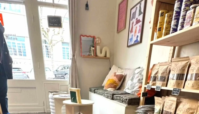 Binoome -    Magasin Pour Chiens A Arcachon Promotion - Arcachon