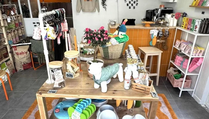 Binoome -    Magasin Pour Chiens A Arcachon Site Web - Arcachon
