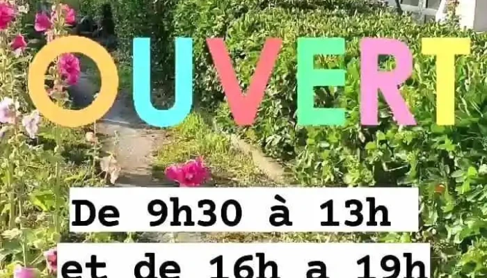 Biocoop Lile Au Bio   Ars En Re Tout - Ars-en-ré
