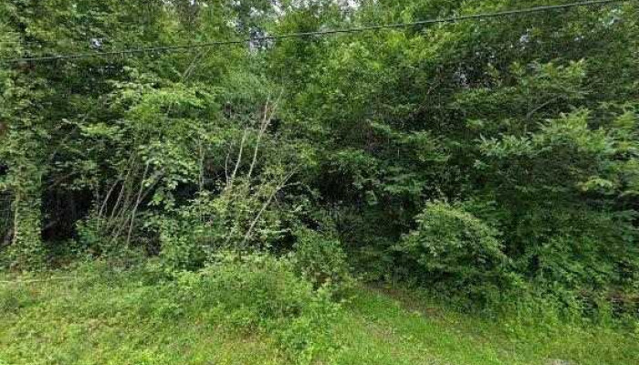 Biopur Habitat -  Street View Et 360deg - Annesse-et-beaulieu