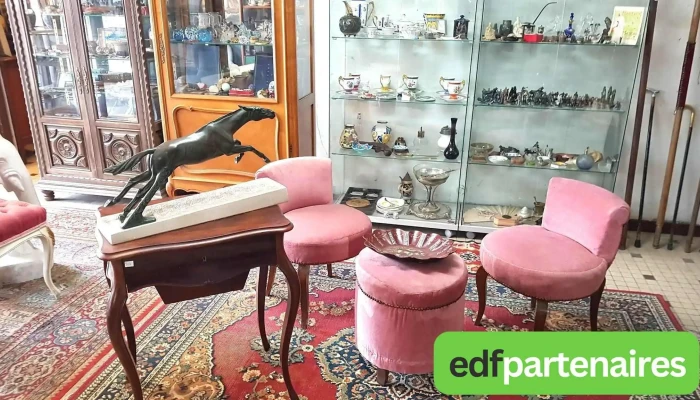 Brocante Au Bonheur Des Dames -  Antiquite - Andernos-les-bains
