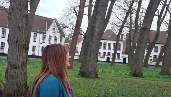 Bruges -  Videos - Bruges
