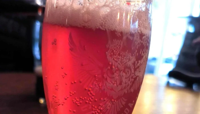 Cafe Plazan Ostatua - Ascain