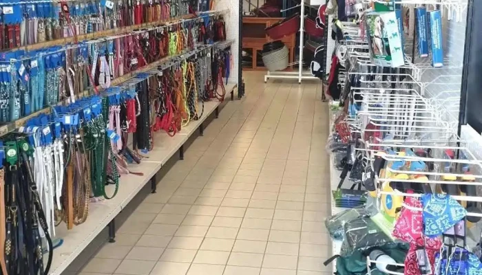 Canishop - 17260 Gémozac