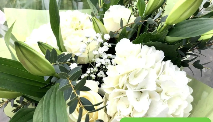 Carole Fleurs -  Photos Du Proprietaire - Coutras