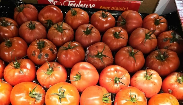 Carrefour Market Beautiran -  Adresse - Beautiran