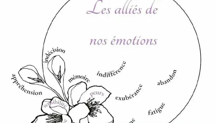 Cassis Onagre Et Cie -  Tout - Agonac