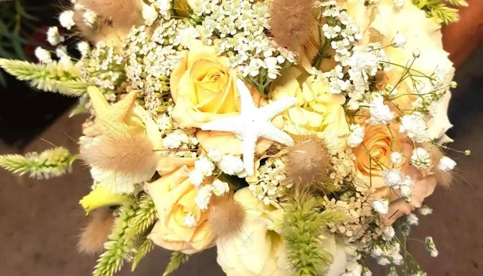 Cathy Fleurs Aiguillon -  Photos Du Proprietaire - Aiguillon