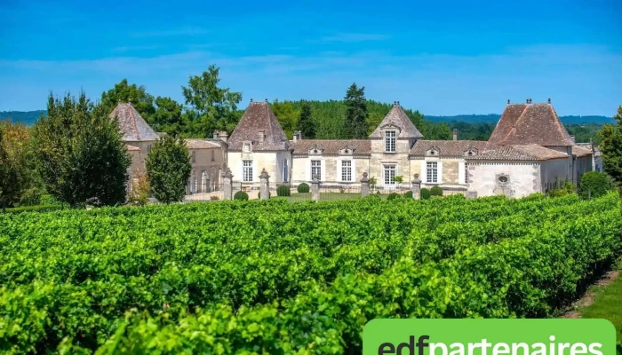 Chateau Dabzac Photos Du Proprietaire - Abzac