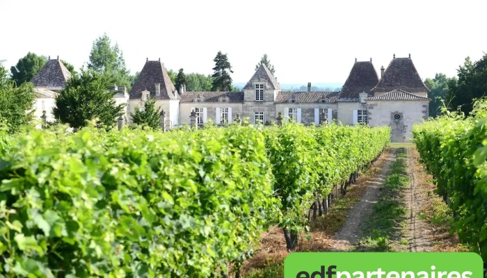 Chateau Dabzac Tout - Abzac