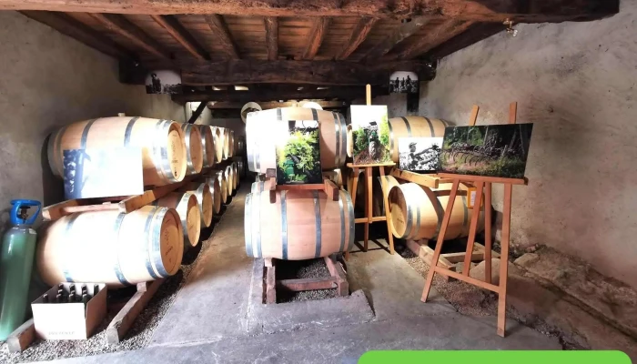 Château Jouvente - 33720 Illats