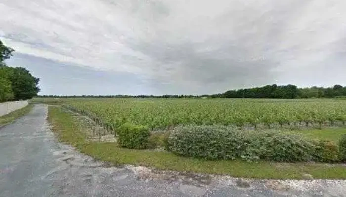 Chateau Labegorce -  Street View Et 360deg - Margaux-cantenac
