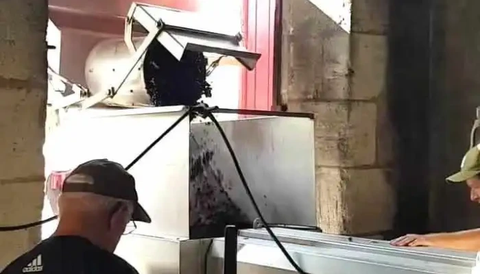 Chateau Lalande Videos - Listrac-médoc
