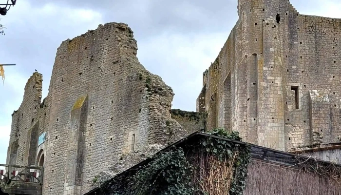Cite Medievale De Chauvigny Reductions - Chauvigny