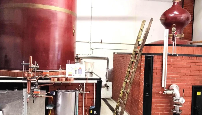 Cognac Fougerat Fanny -  Distillerie - Burie