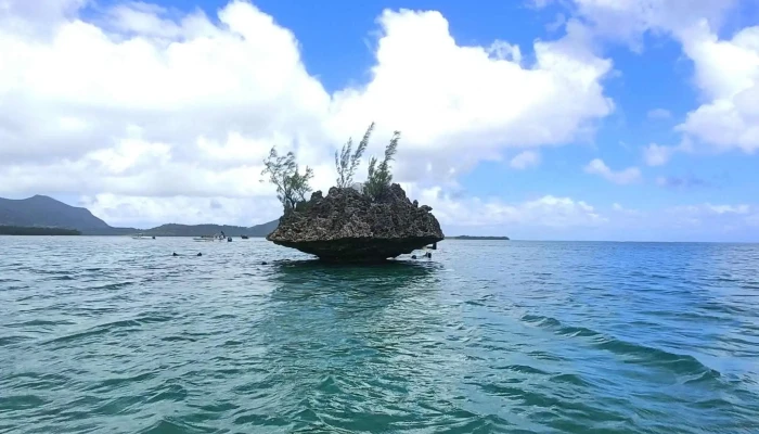 Comptoir De La Mer Andernos Magasin D Equipements Et Accessoires Nautiques - Andernos-les-bains