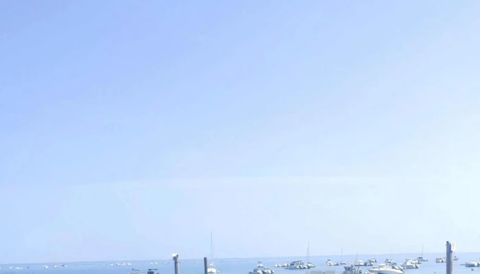Comptoir De La Mer Arcachon Opinions - Arcachon