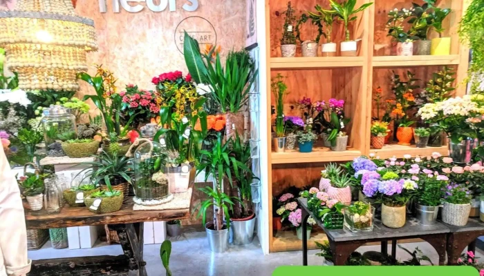 Cote Art Angouleme Fleuriste Angouleme Interieur - Angoulême