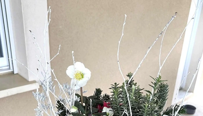 Cote Art Angouleme Fleuriste Angouleme Ouvert Maintenant - Angoulême