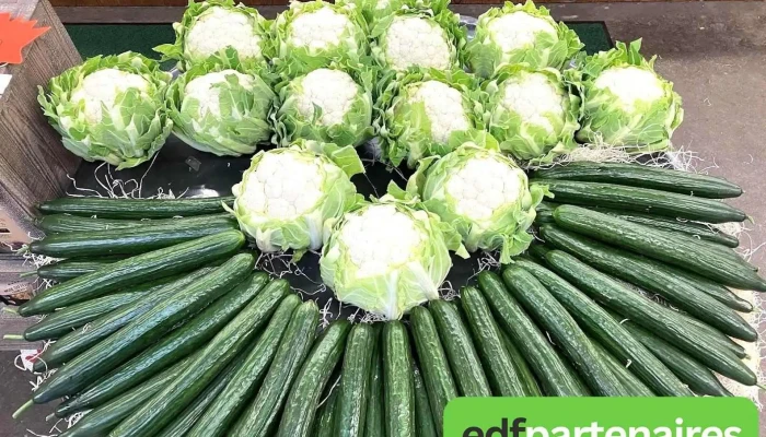 Cours des Halles Maison Pascarel - Objat