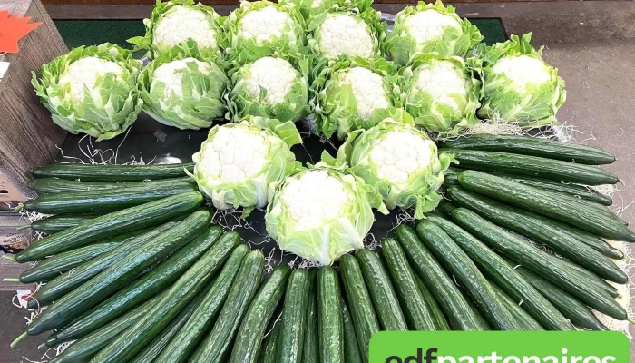Cours Des Halles Maison Pascarel -  Tout - Objat