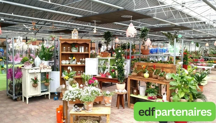 Discount Flowers, Les Serres De Touvent - 33860 Val-De-Livenne