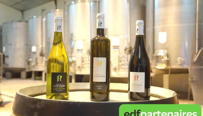Domaine de la Rôtisserie - 86380 Jaunay-Marigny