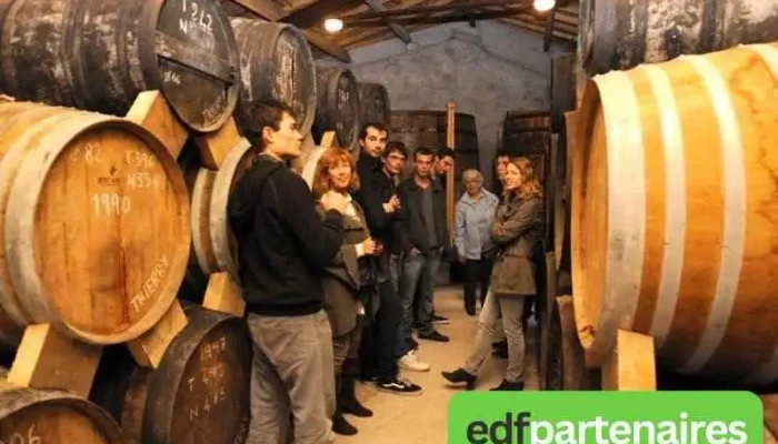 Domaine Des Claires -  Photos Du Proprietaire - Arvert