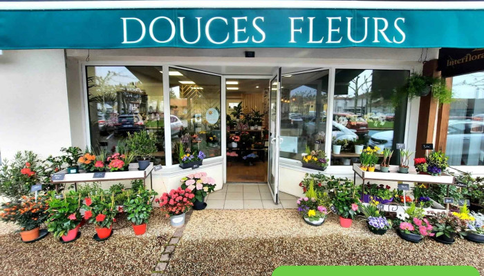 Douces Fleurs - 40210 Labouheyre
