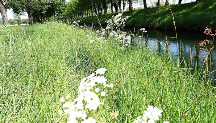Ecluse Numero 32 Dannesse Ou De Gravelle Attraction Touristique - Annesse-et-beaulieu