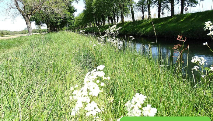 Ecluse Numero 32 Dannesse Ou De Gravelle Tout - Annesse-et-beaulieu