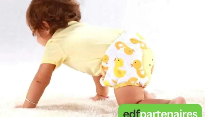 Eco Bebe Interieur - Angresse
