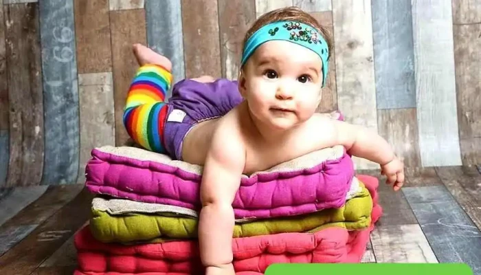 Eco Bebe Photos Du Proprietaire - Angresse