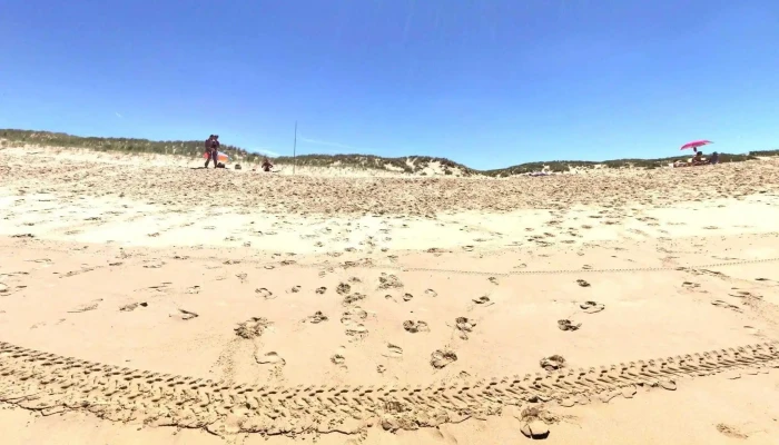 Ecole De Surf -    Coco Surf Street View Et 360deg - Arvert