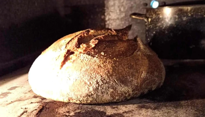 Eirl Pain De Dilay -  Levain Panaire - Ardin