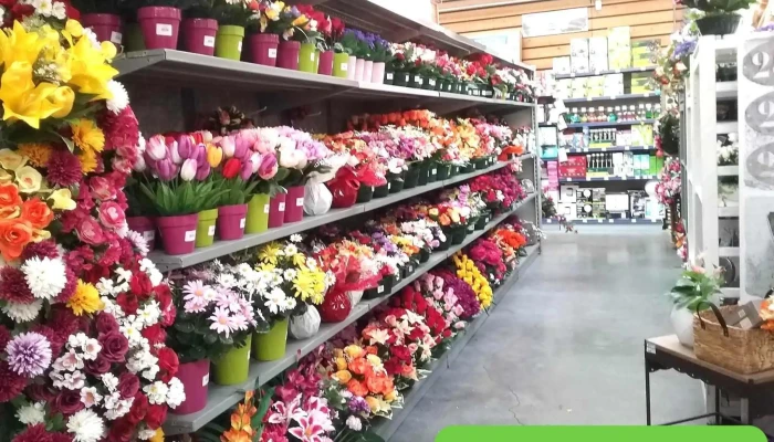 Eleclerc Jardi Interieur - Bressuire