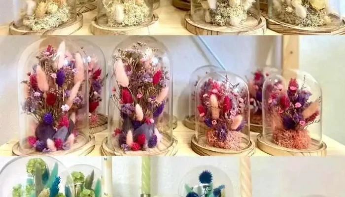 Elle Les Fleurs Les Plus Recentes - Mornac-sur-seudre