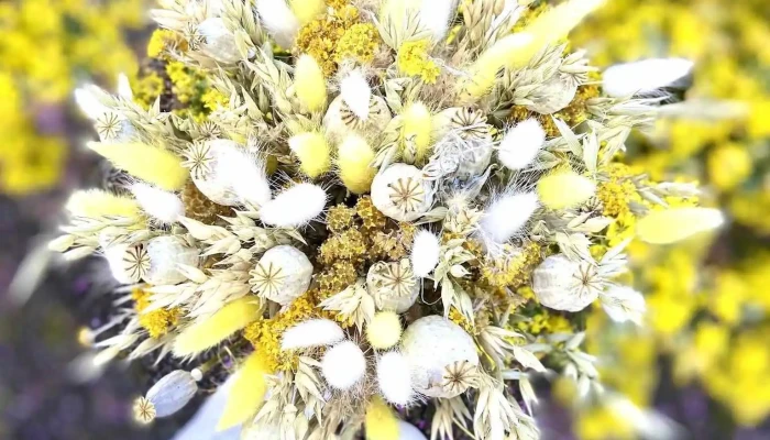 Elle Les Fleurs Tout - Mornac-sur-seudre