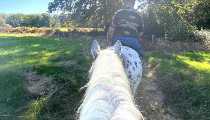 Ferme Equestre La Forge Tout - Arbus