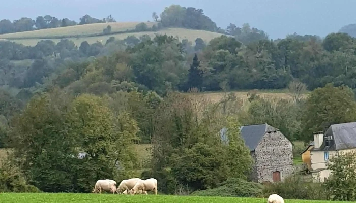 Ferme Guedot -  Videos - Rébénacq