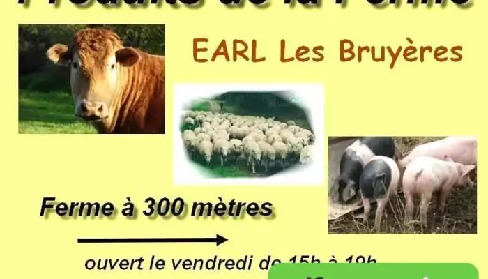 Ferme Les Bruyères - 86390 Lathus-Saint-Rémy