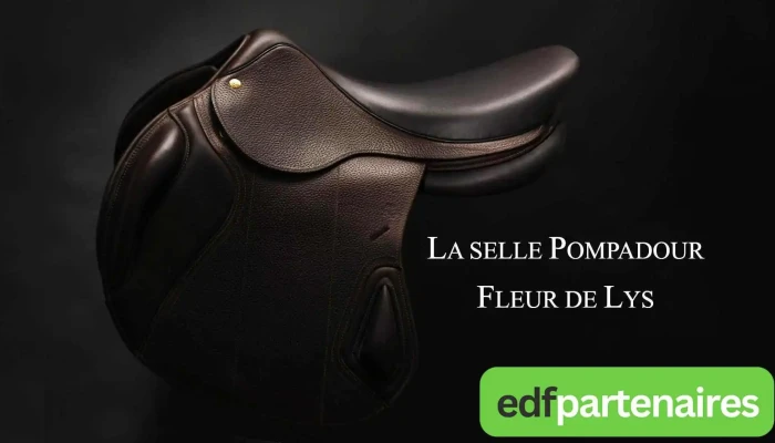 Fleur de Lys - Pompadour