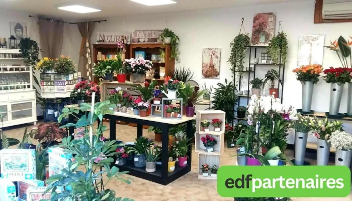 Fleurs Deco Et Kdo Charroux Tout - Charroux